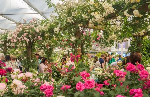 Chelsea Flower Show